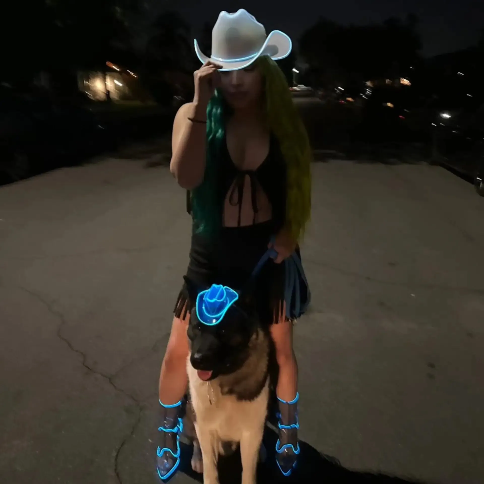 PAWdner Pet Hat Pack