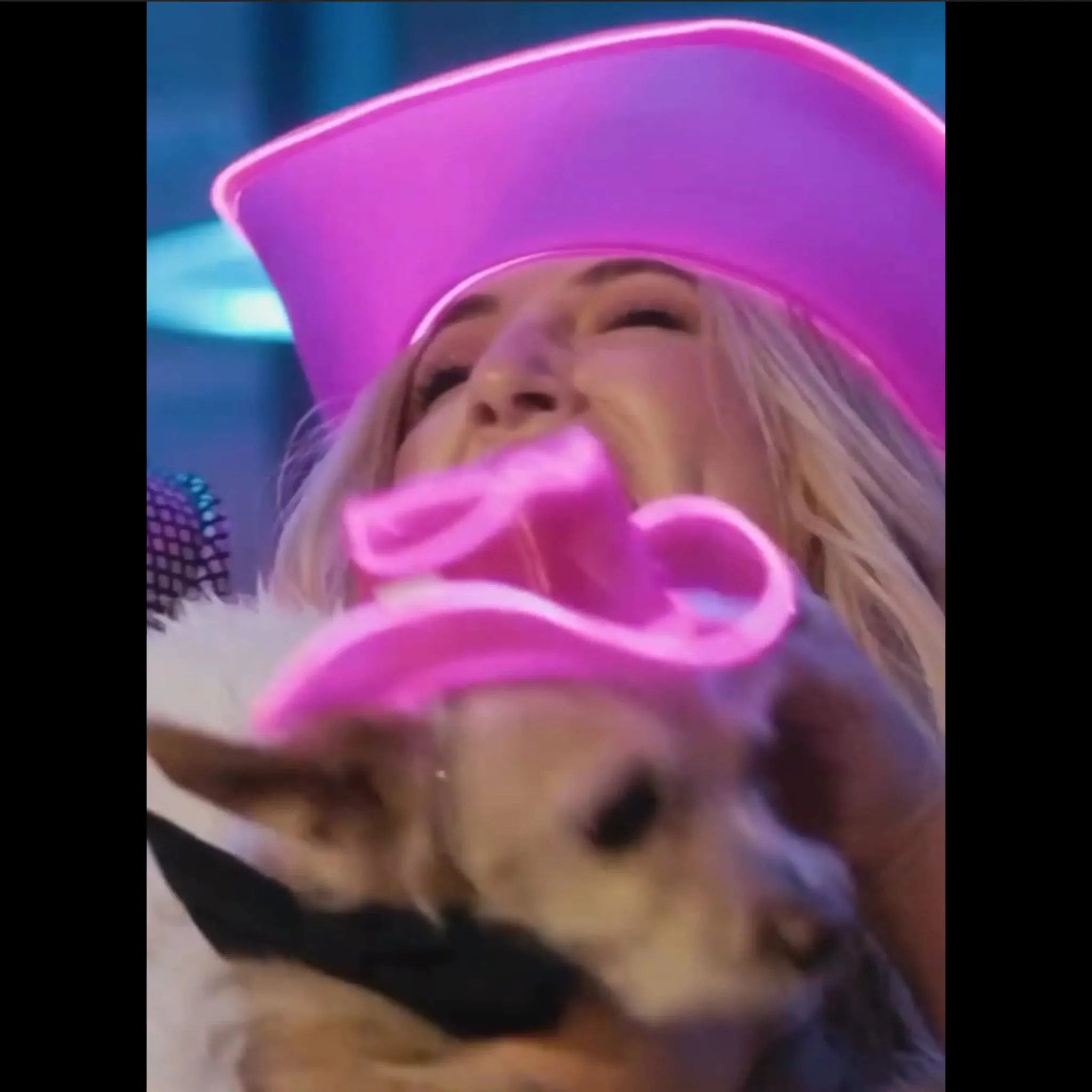 PAWdner Pet Hat Pack